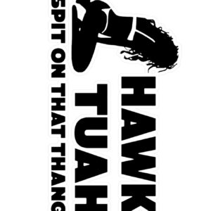 Funny Hawk Tuah 24 Kiss-Cut Vinyl Decals