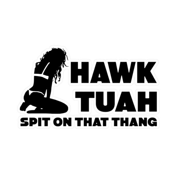 Funny Hawk Tuah Decals