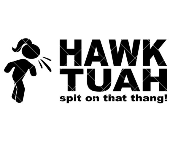 HAWK TUAH Spit On That Thang Funny Stickers