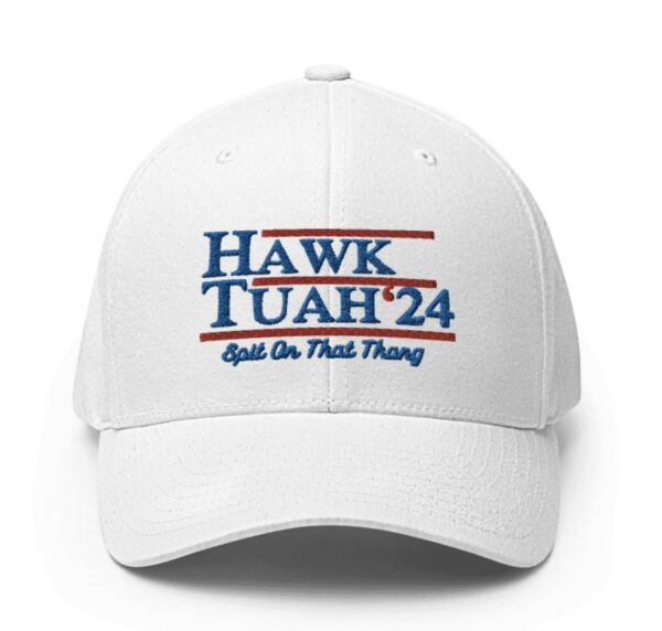 Hawk Tuah 2024 Dad Hat