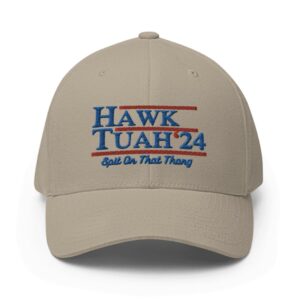 Hawk Tuah 2024 Dad Hats