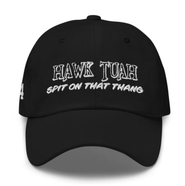 Hawk Tuah 2024 Embroidered Hat