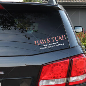 Hawk Tuah 24 Definition To Spit On That Thang Stickers