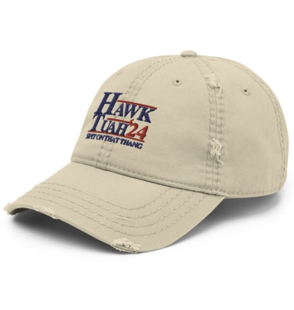 Hawk Tuah 24 Distressed Dad Hats