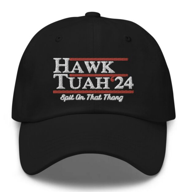 Hawk Tuah 24 Embroidered Hat