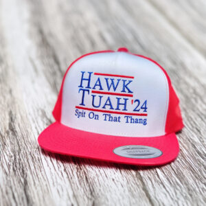 Hawk Tuah '24 Embroidered Hat Cap