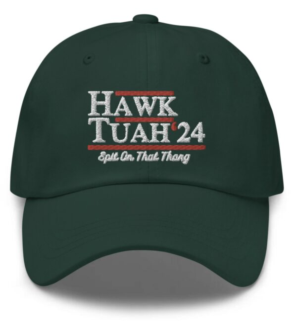 Hawk Tuah 24 Embroidered Hat Caps