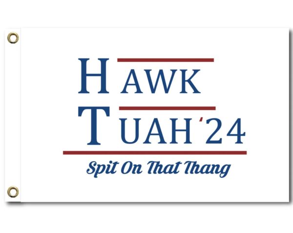 Hawk Tuah 24 Grommet Flag