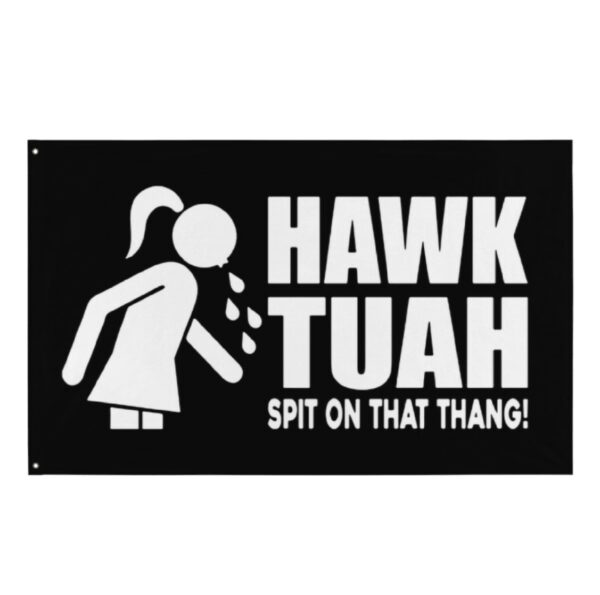 Hawk Tuah '24 Spit On That Thang Grommet Flag