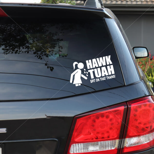 Hawk Tuah 24 Stickers Limit version