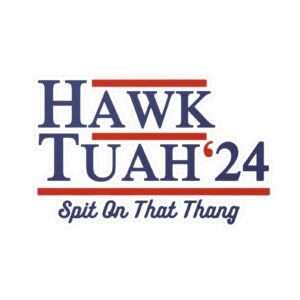 Hawk Tuah 24 Vinyl Decals