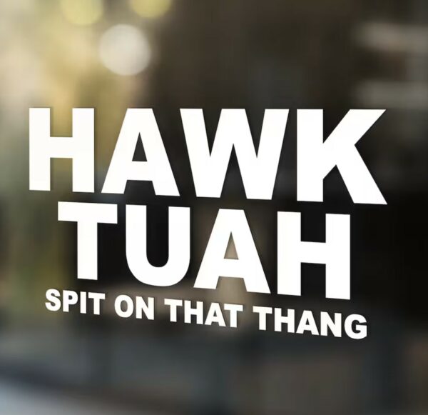 Hawk Tuah Decal, Spit on that Thang Car Window Sticker, Bumper Sticker, Mirror Decal, Laptop Sticker, Waterproof Outdoor Indoor stickers