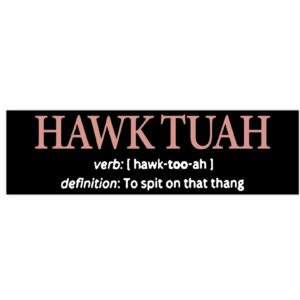 Hawk Tuah Definition To Spit On That Thang Sticker