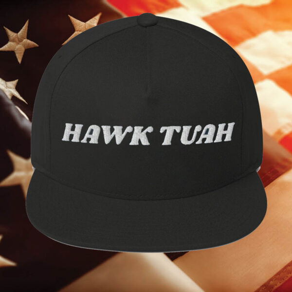 Hawk Tuah Hat- Embroidered Trucker Hat Cap1