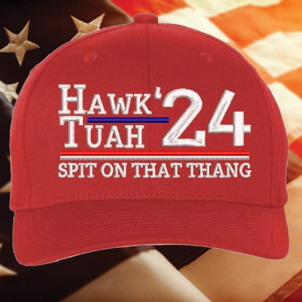 Hawk Tuah Spit On That Than Embroidered Usa300 Or Flex Fit Custom Hat1