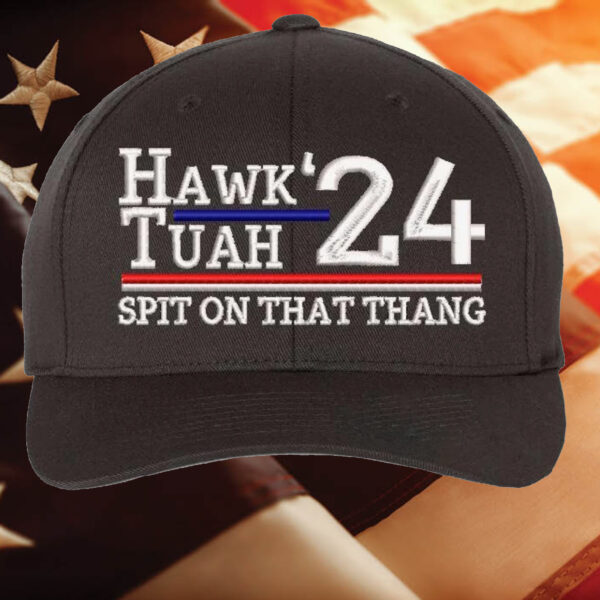 Hawk Tuah Spit On That Than Embroidered Usa300 Or Flex Fit Custom Hat2