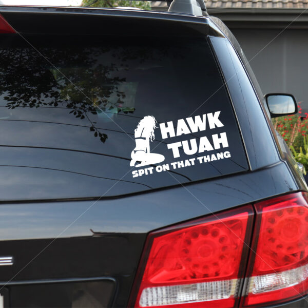 Hawk Tuah Spit On That Thang Stickers Cute