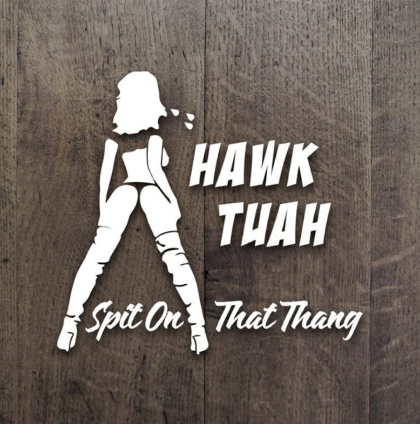 Hawk Tuah 2024 Spit On That Thang Decal