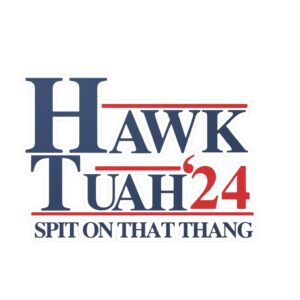 Hawk Tuah Spit on That Thang Decals