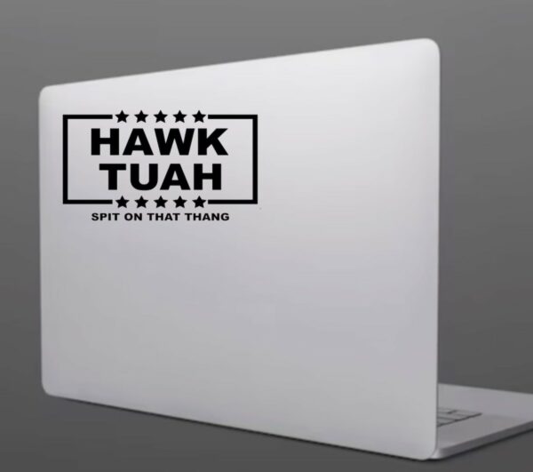 Hawk Tuah Vinyl Decals