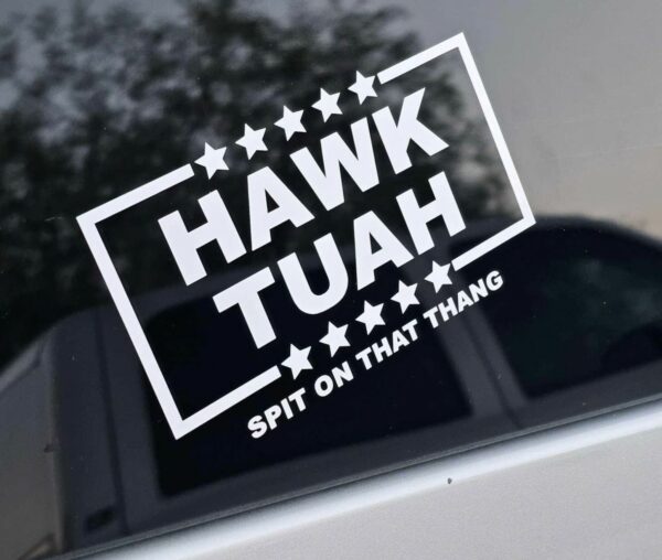 Hawk Tuah Vinyl Decalss