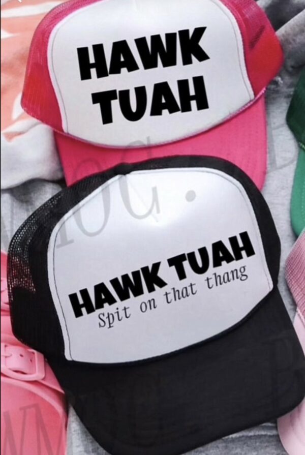 Hawk tuah 2024 Hat