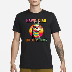 Hawk tuah 24 spit on that thang hawk tuah 2024 vintage T-Shirt3