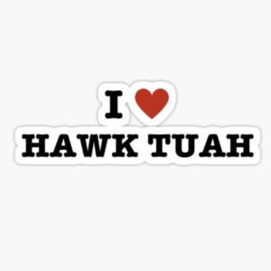 I Love Hawk Tuah Sticker