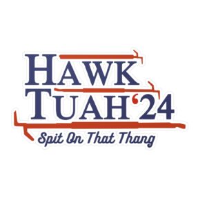 New Funny Hawk Tuah 24 Stickers