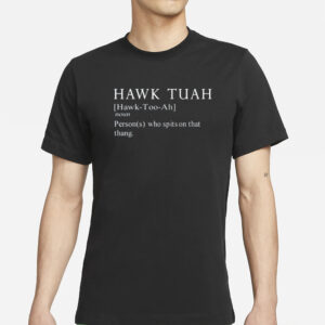 Themaskbitch Hawk Tuah Noun Persons Who Spits On That Thang T-Shirts