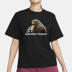 Funny Hawk Tuah Parody T-Shirt2