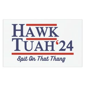 Hawk Tuah Car Magnets